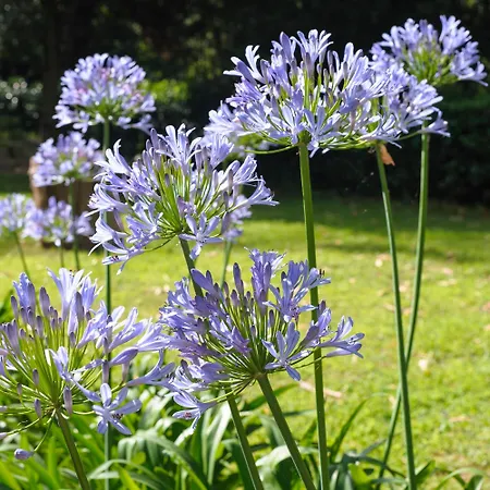 オットーネ ホテル 5*