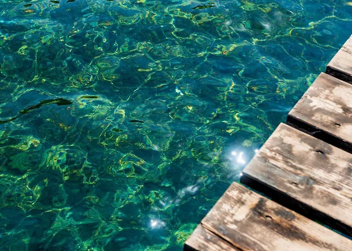 酒店 奥托尼别墅酒店 费拉约港